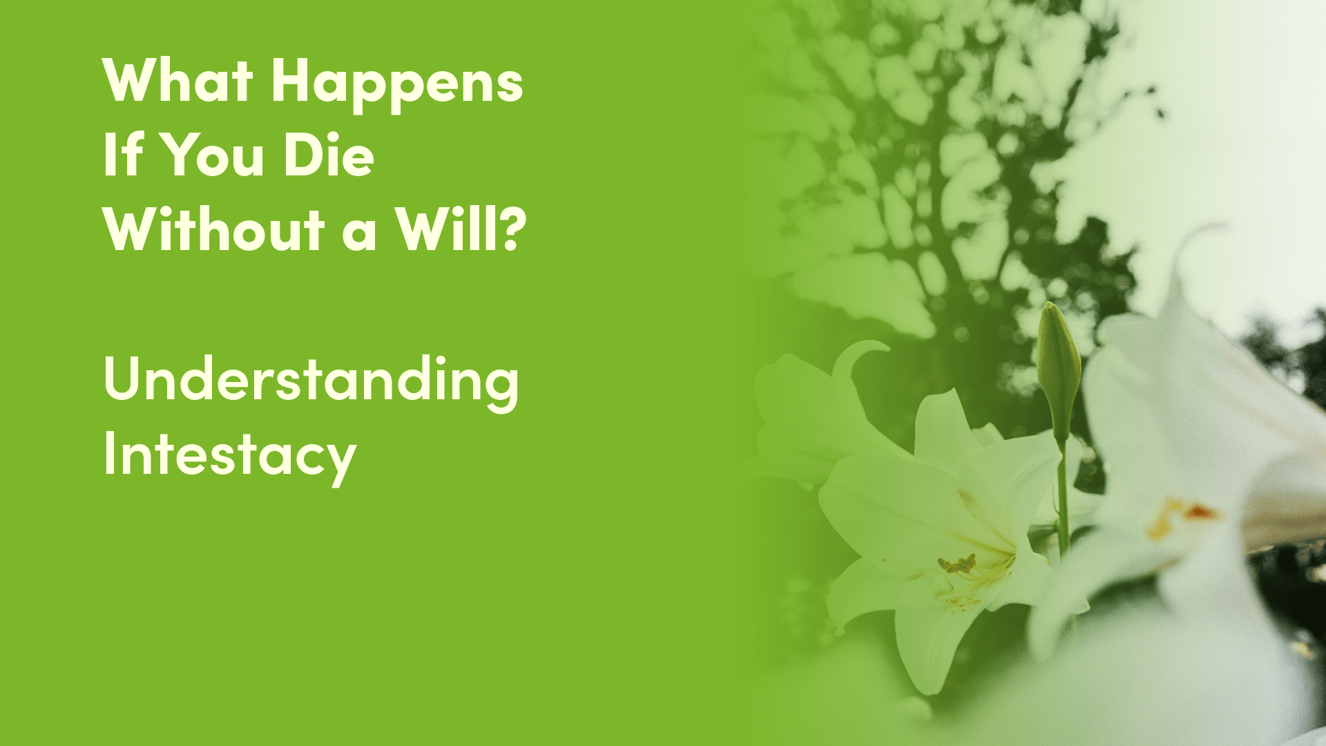 What Happens If You Die Without A Will Understanding Intestacy
